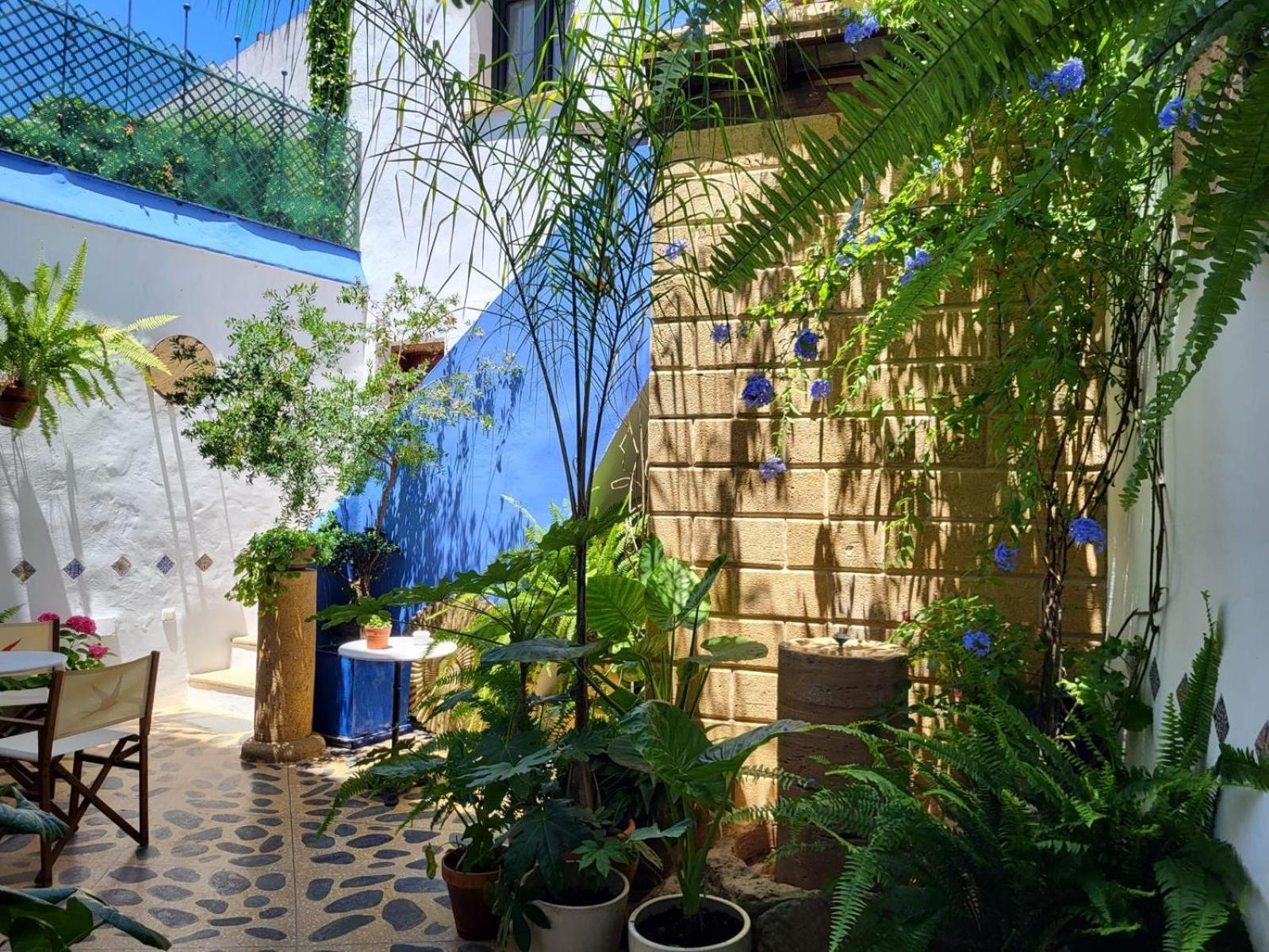 Hostal Casa Alborada Conil De La Frontera Esterno foto